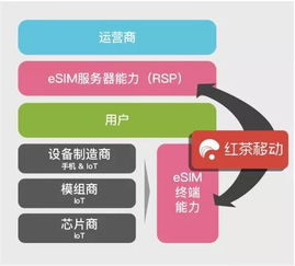 eSIM連接技術(shù) 大數(shù)據(jù)服務(wù)的攪局者還是推動者？